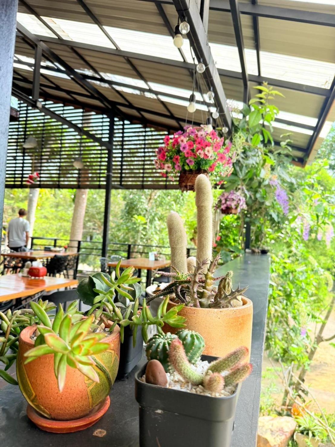 Baan Suan Hill Resort Ban Tha Khun Ngoại thất bức ảnh