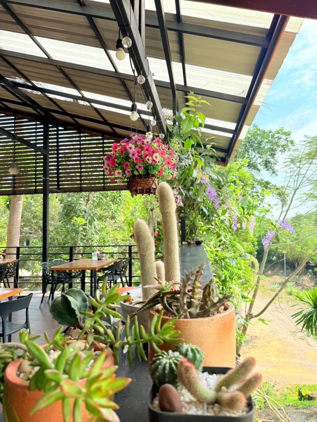 Baan Suan Hill Resort Ban Tha Khun Ngoại thất bức ảnh